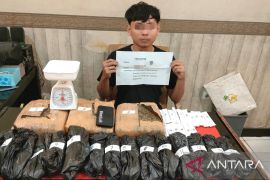 Tim patroli Polresta Jambi amankan pemuda bawa ganja 4,1 kilogram