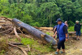 Pemulihan ekonomi warga terdampak bencana perlu dilakukan