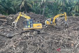 Govt ensures sufficient food, medicine stocks in disaster-hit regions