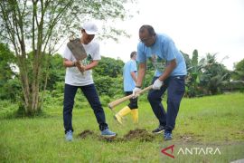 Pupuk Kaltim perkuat program penghijauan lewat penanaman 1.977 pohon