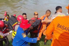 Tim SAR temukan jasad bocah hanyut di Sungai Ciujung Serang