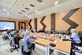 Kalsel perkuat sinergi mitigasi bencana hidrometeorologi di areal DAS