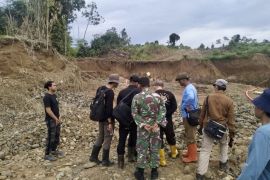 Dishut Kalsel temukan 19 ekskavator nambang emas ilegal di hutan