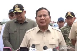 Prabowo: Pemerintah sudah mulai tertibkan pembalakan liar