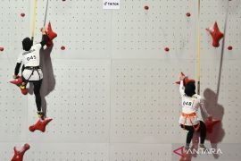 Dominasi kualifikasi, empat pasang atlet panjat tebing Indonesia melaju ke Final