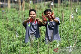 Outlook Pertanian 2026 dari Swasembada ke Sistem Pangan Berkelanjutan