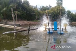 Pasang laut di Kaltim berpotensi rendam tambak