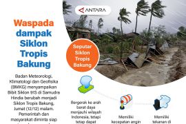 Waspada dampak Siklon Tropis Bakung