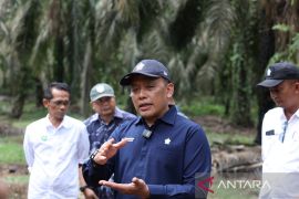 Empat KUD binaan PTPN IV raih sertifikasi RSPO