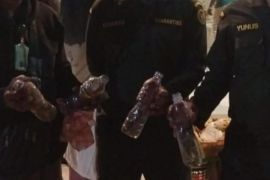 BKSDA Maluku amankan 9 ekor nuri disembunyikan dalam botol