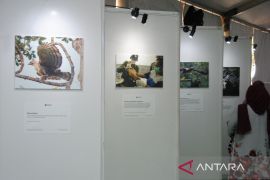 Pameran Fotografi Elang Jawa dan Konservasi Spesies Penting Jawa di Kota Bogor