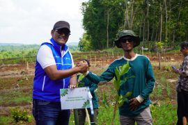 Peringati&nbsp;HUT ke-68, Pertamina gelar penghijauan ratusan hektare
