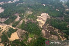 Menteri LH tinjau degradasi DAS di Aceh, indikasi aktivitas ilegal