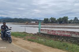 Update Bencana Aceh, Akademisi dukung keterlibatan lembaga PBB