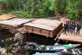 KLH Sita 300 meter kubik kayu olahan ilegal di Inderagiri Hulu Riau