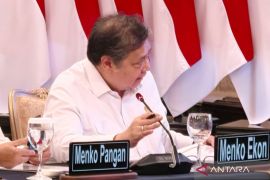 Airlangga: Kinerja ekonomi makro baik dan IHSG tertinggi di Asia