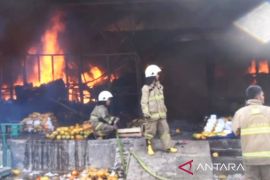 Pedagang Pasar Induk Kramat Jati rugi usai kiosnya baru dapat pasokan