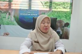 Dinpanpertan Bangka: Kebutuhan telur di SPPG 24.704 butir per bulan