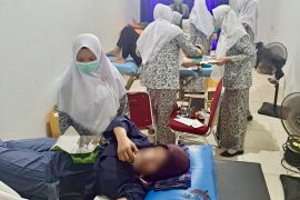 DP3AP2KB : KB implan jadi pilihan MKJP terpopuler di Batam