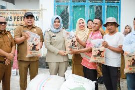 Pemprov Sumut salurkan bantuan bibit pertanian ke puluhan Poktan di Madina