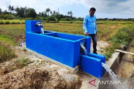 Pemkab Natuna kolaborasi dengan BWSS tingkatkan produksi padi