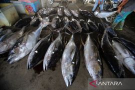 PNBP perikanan untuk pemerataan kesejahteraan nelayan Indonesia