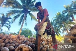 BPS Kepri ungkap ada fenomena warga putus asa cari pekerjaan