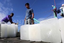 Nelayan keluhkan harga es di Abdya tembus Rp100 ribu per batang