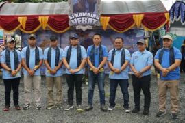 Kalsel kemarin dari kualitas hasil ternak hingga koperasi Merah Putih