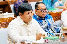 Anggota DPR desak pemerintah tingkatkan kewaspadaan bencana