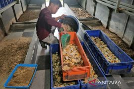Indonesia explores monetizing MBG food waste as carbon credits