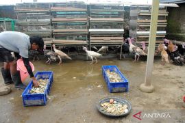Kemendes dorong desa jadi pionir ekonomi sirkular nasional