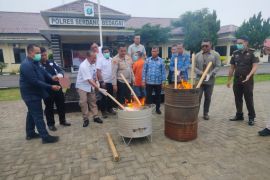 Polres Sergai musnahkan 28 bal ganja kering