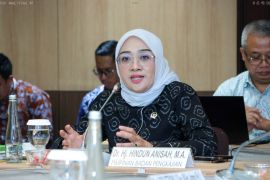 MPR dorong perbaikan pengaturan desa untuk desentralisasi efektif