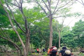 Operasi pencarian korban hilang di Gunung Sangeang Api ditutup