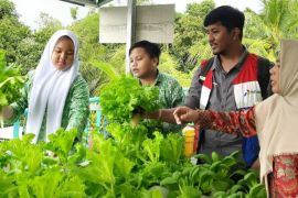 Sekolah Binaan Pertamina Patra Niaga Regional Kalimantan Raih Penghargaan Sekolah Adiwiyata Nasional 2025