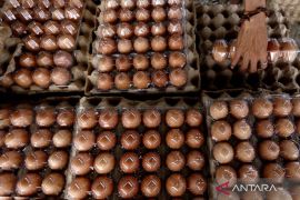 PIHPS: Cabai rawit meroket, sejumlah komoditas pangan ikut naik