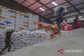 Dijamin aman, Pemprov Maluku pastikan 40 ribu ton beras tersedia hingga April 2026