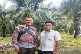 Kemitraan Sawit berkelanjutan, PT TBS tegaskan tidak lakukan pembukaan hutan di Madina