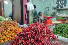 Harga cabai merah di Bengkulu naik hingga Rp85 ribu per kg jelang Natal dan Tahun Baru