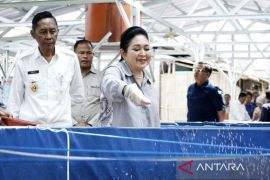 DPR salurkan bantuan sarana budidaya ikan dan alsintan bagi Bantul