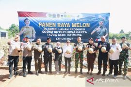 Purwakarta panen melon