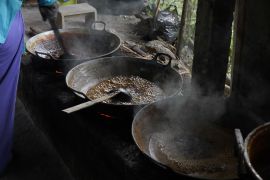 Reforma Agraria Bangkitkan Kemandirian Ekonomi Desa Hargorejo di Kulon Progo