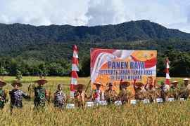 Gubernur Kaltara Dorong Pengembangan Padi Adan di Krayan