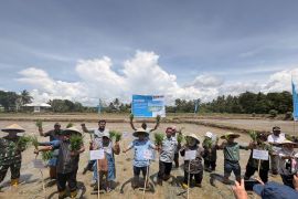 Kolaborasi Vale dan Pemerintah Kolaka dorong transformasi pertanian berbasis inovasi