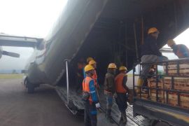 Dinas Pangan fasilitasi angkutan sayur-mayur daerah bencana lewat udara