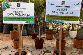 Muswil PKB Jatim ganti karangan bunga dengan bibit pohon