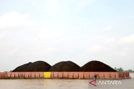 NEXT Indonesia tekankan Bea Batu bara perbaiki tata kelola ekspor