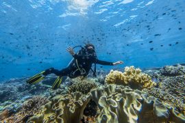 Indonesia unveils diving directory to boost sustainable marine tourism