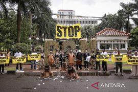Greenpeace bersama masyarakat adat gelar aksi kritik PSN tebu di Merauke